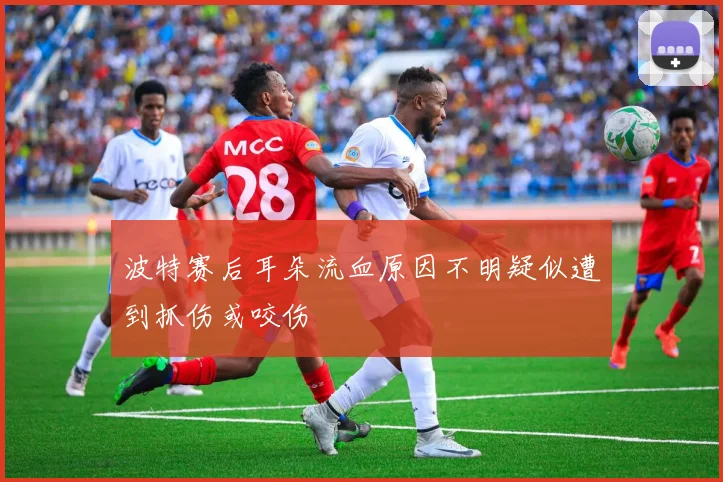 波特赛后耳朵流血原因不明疑似遭到抓伤或咬伤