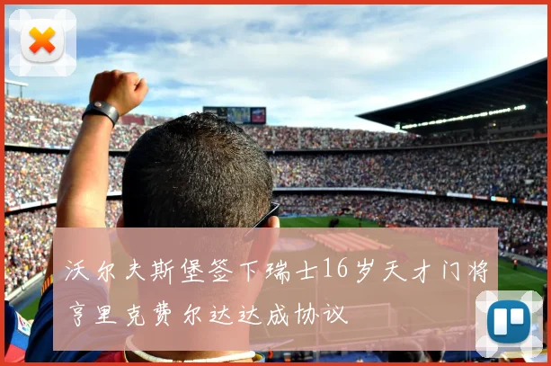 沃尔夫斯堡签下瑞士16岁天才门将亨里克费尔达达成协议